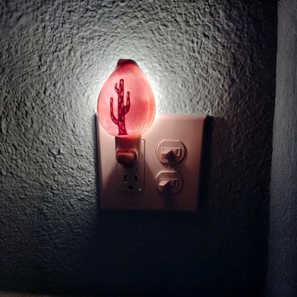 Carved Tiger Cowrie Cactus Night Light - Picture 2 of 9